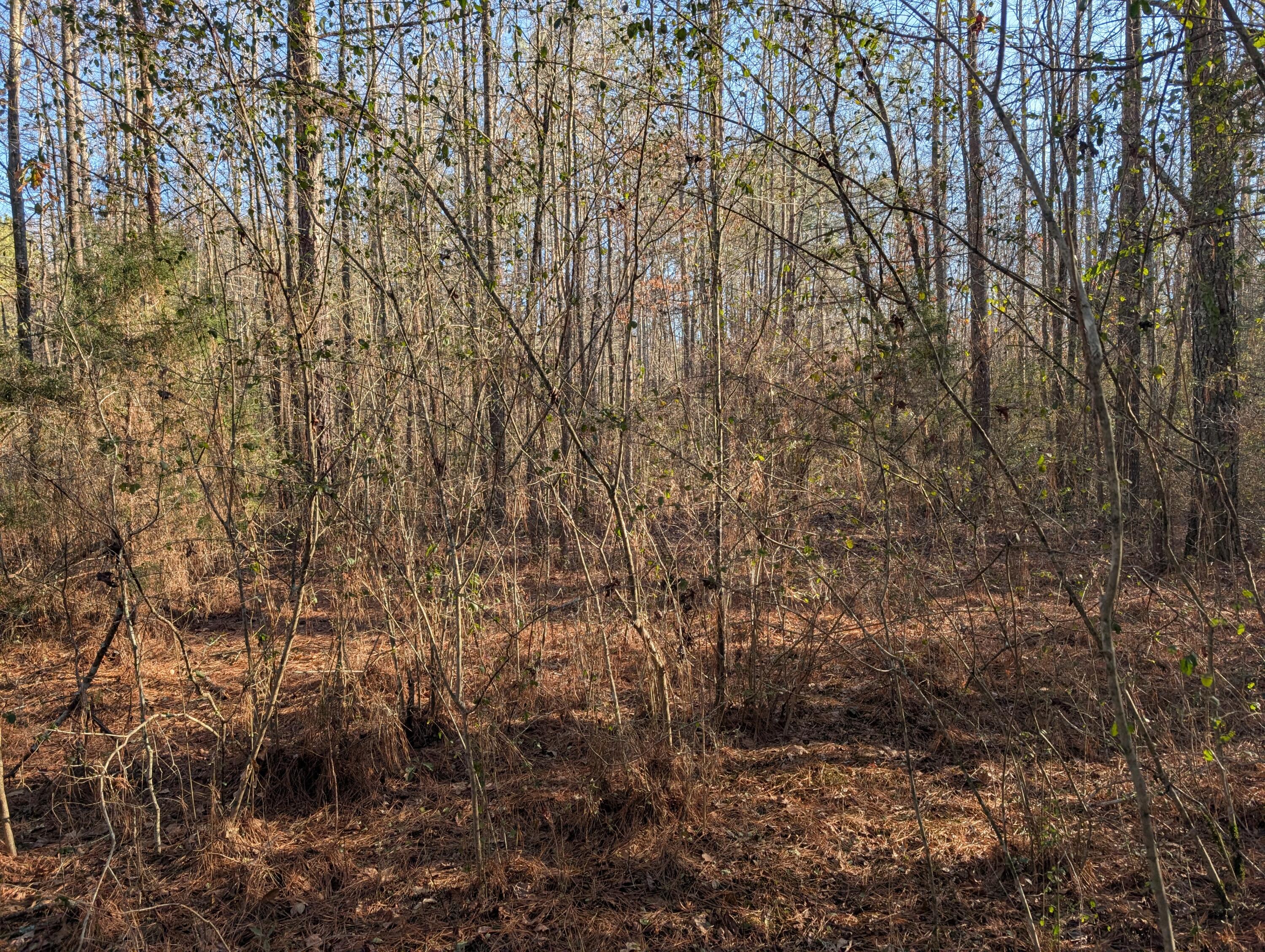 00 Ridgeway Road, Trion, Georgia image 36