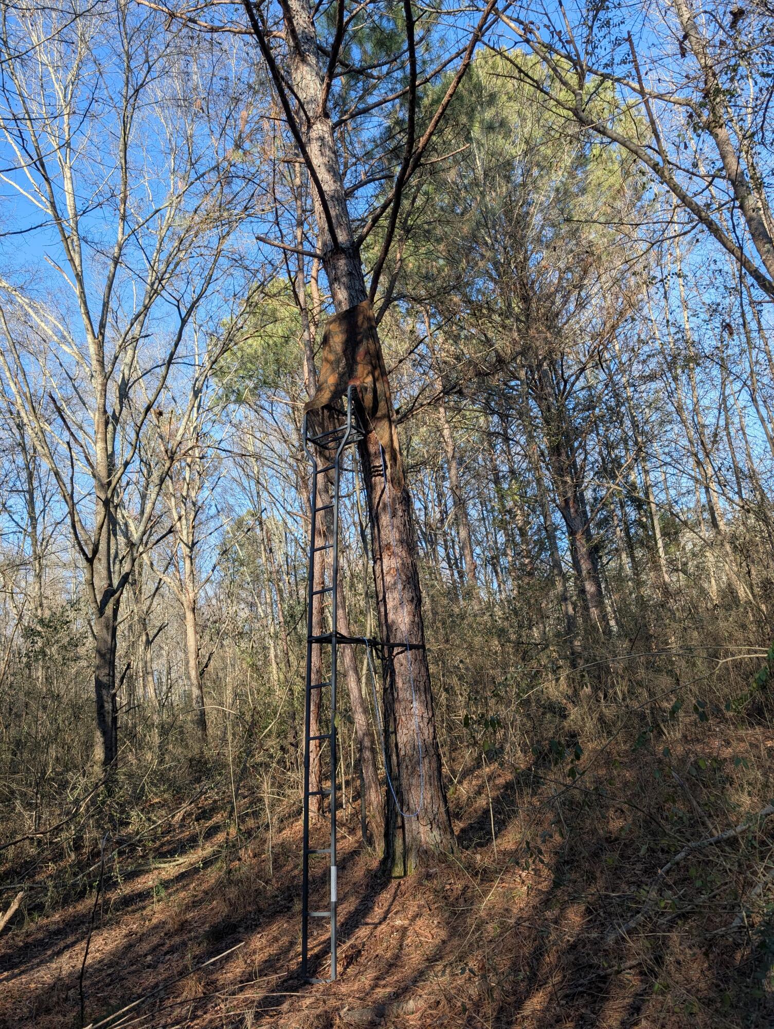 00 Ridgeway Road, Trion, Georgia image 40