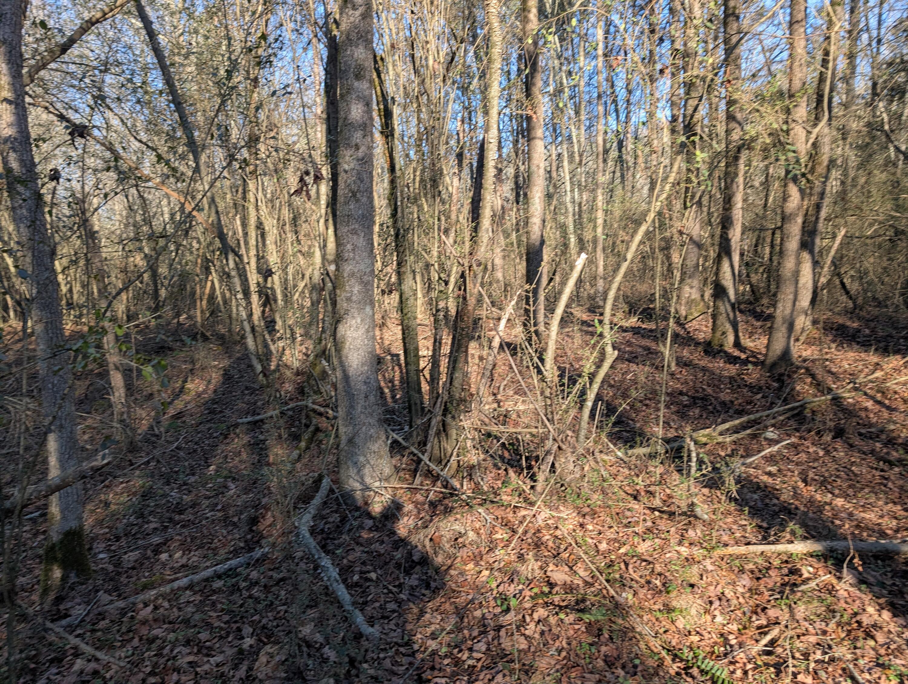 00 Ridgeway Road, Trion, Georgia image 46