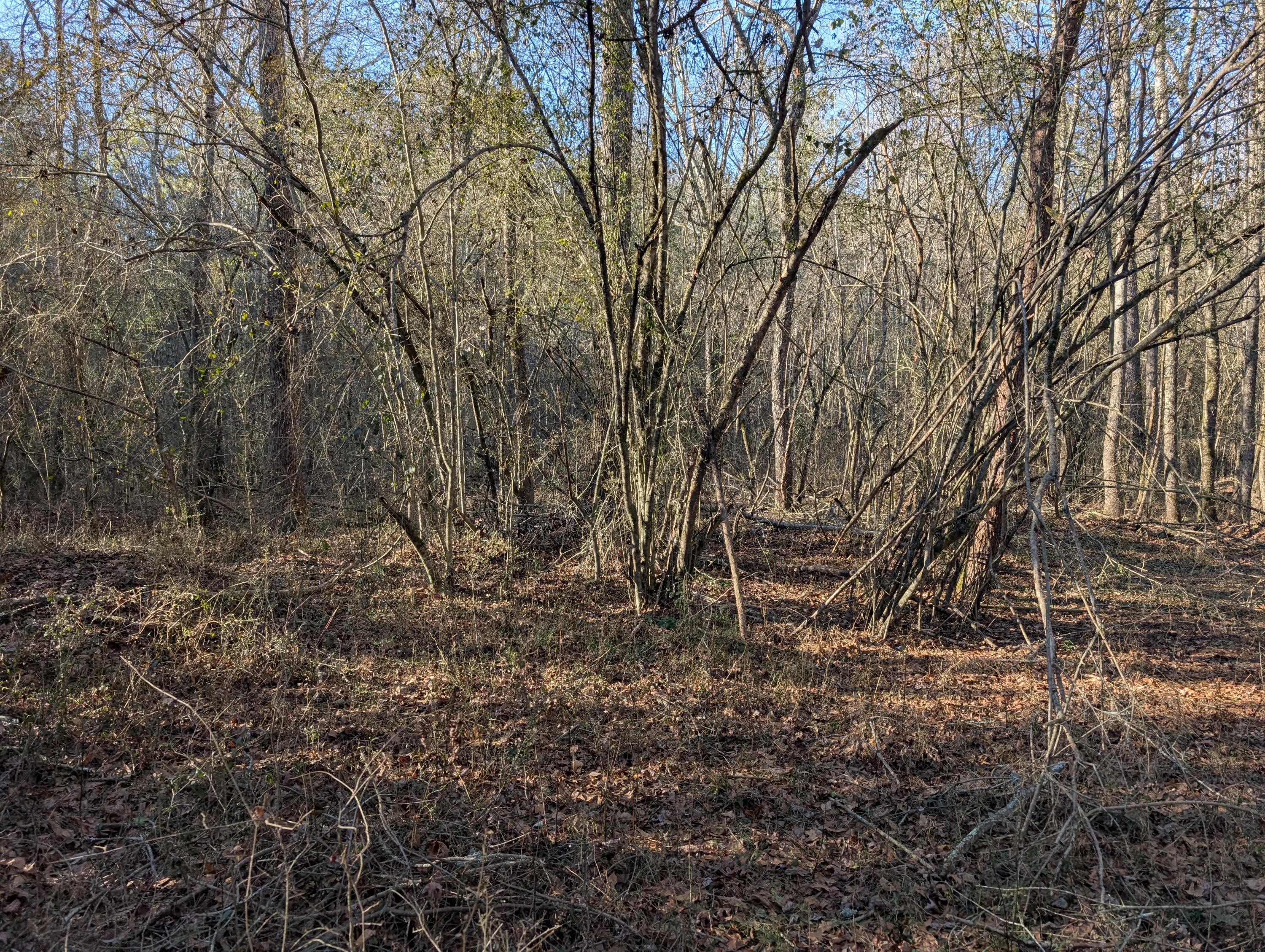 00 Ridgeway Road, Trion, Georgia image 39