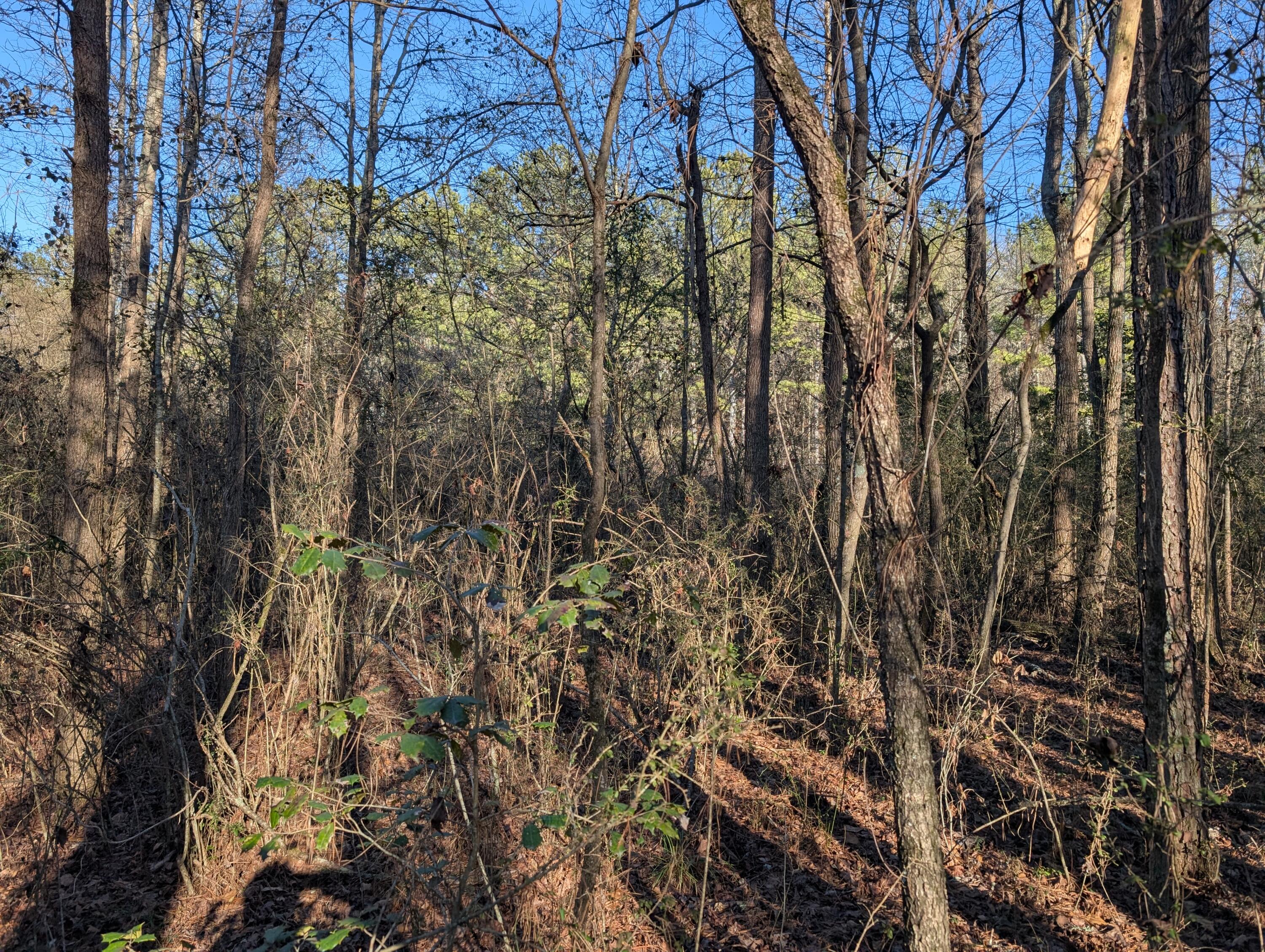 00 Ridgeway Road, Trion, Georgia image 27