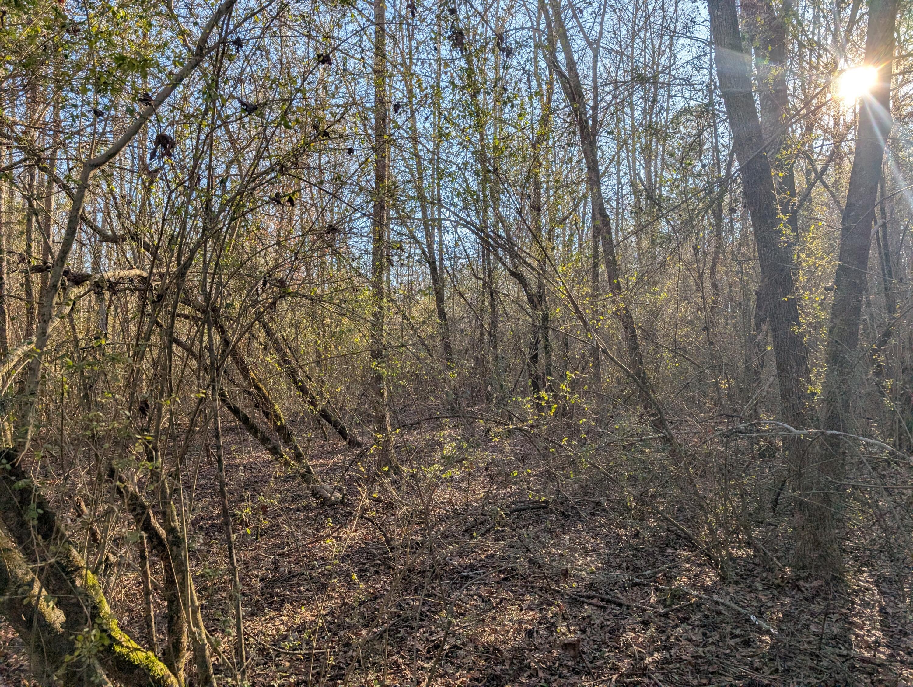 00 Ridgeway Road, Trion, Georgia image 37