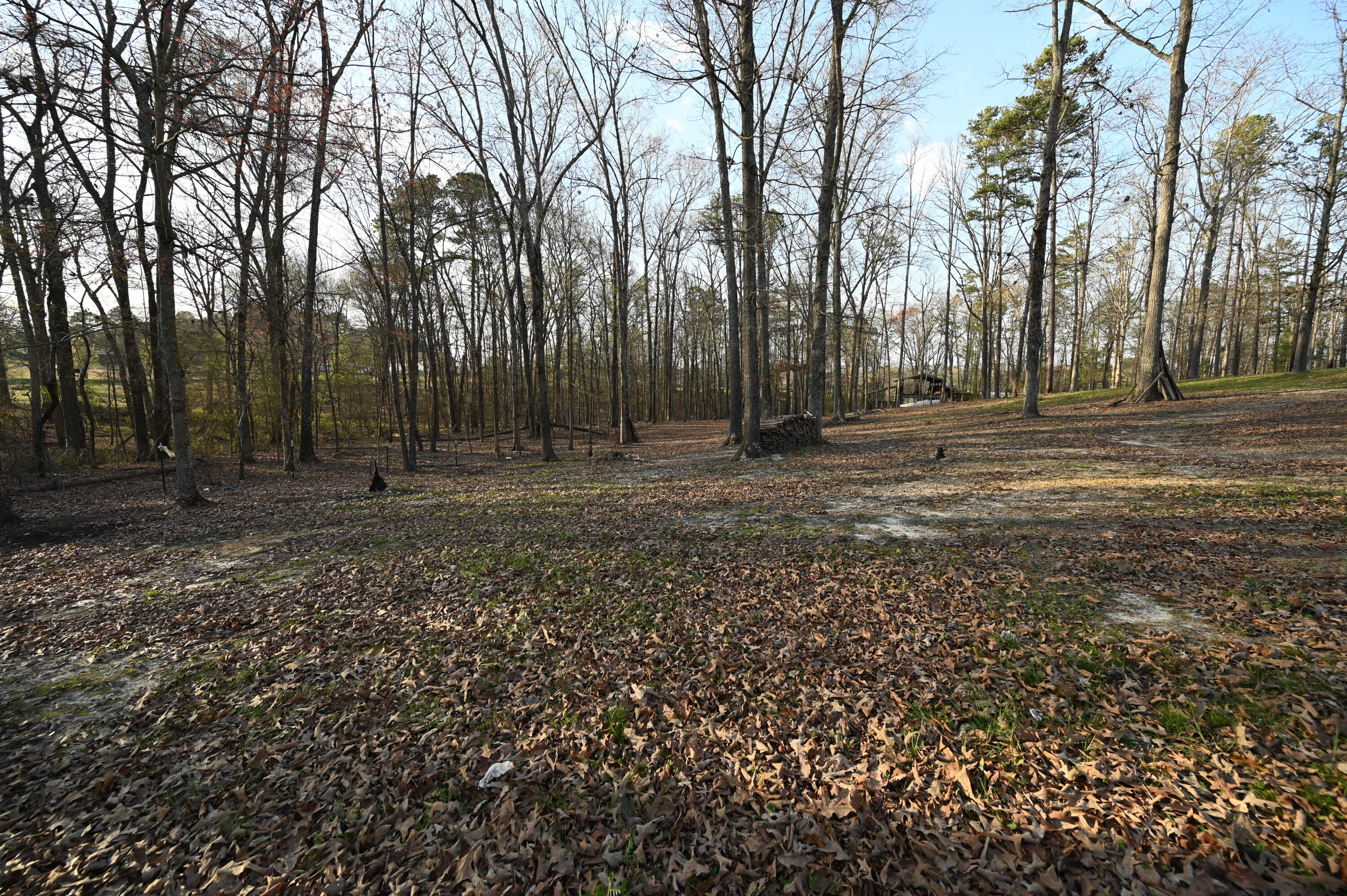 326 Mccreary Road, Calhoun, Georgia image 35