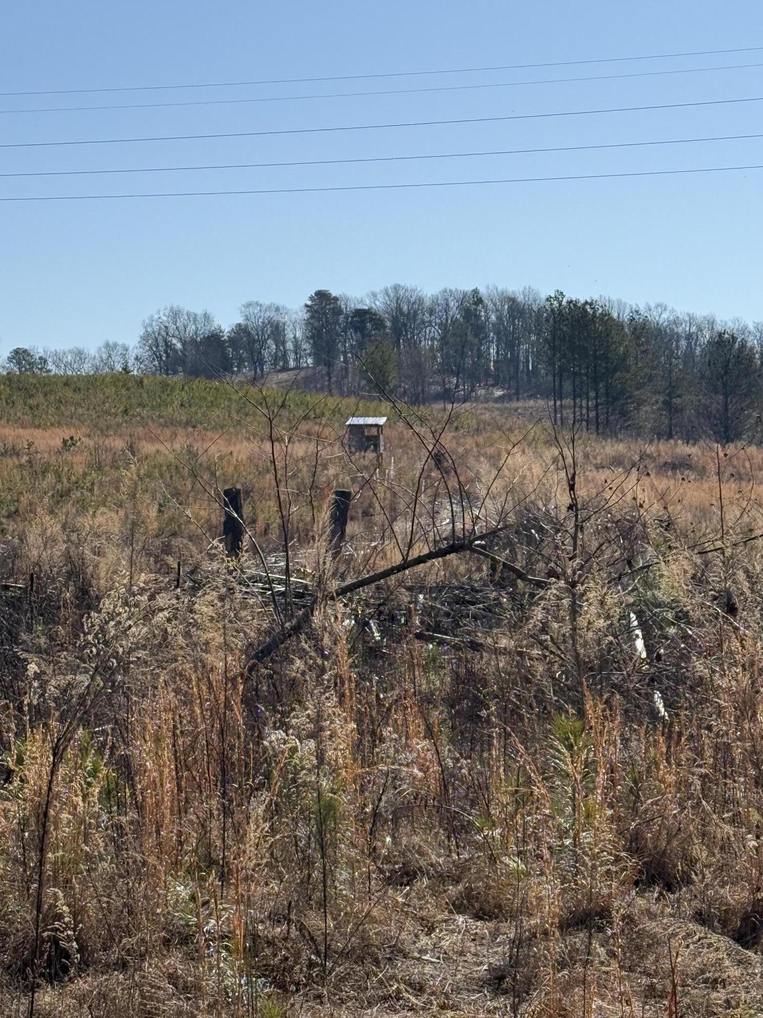 Lebbanon Church Valley Road, Cleveland, Tennessee image 11