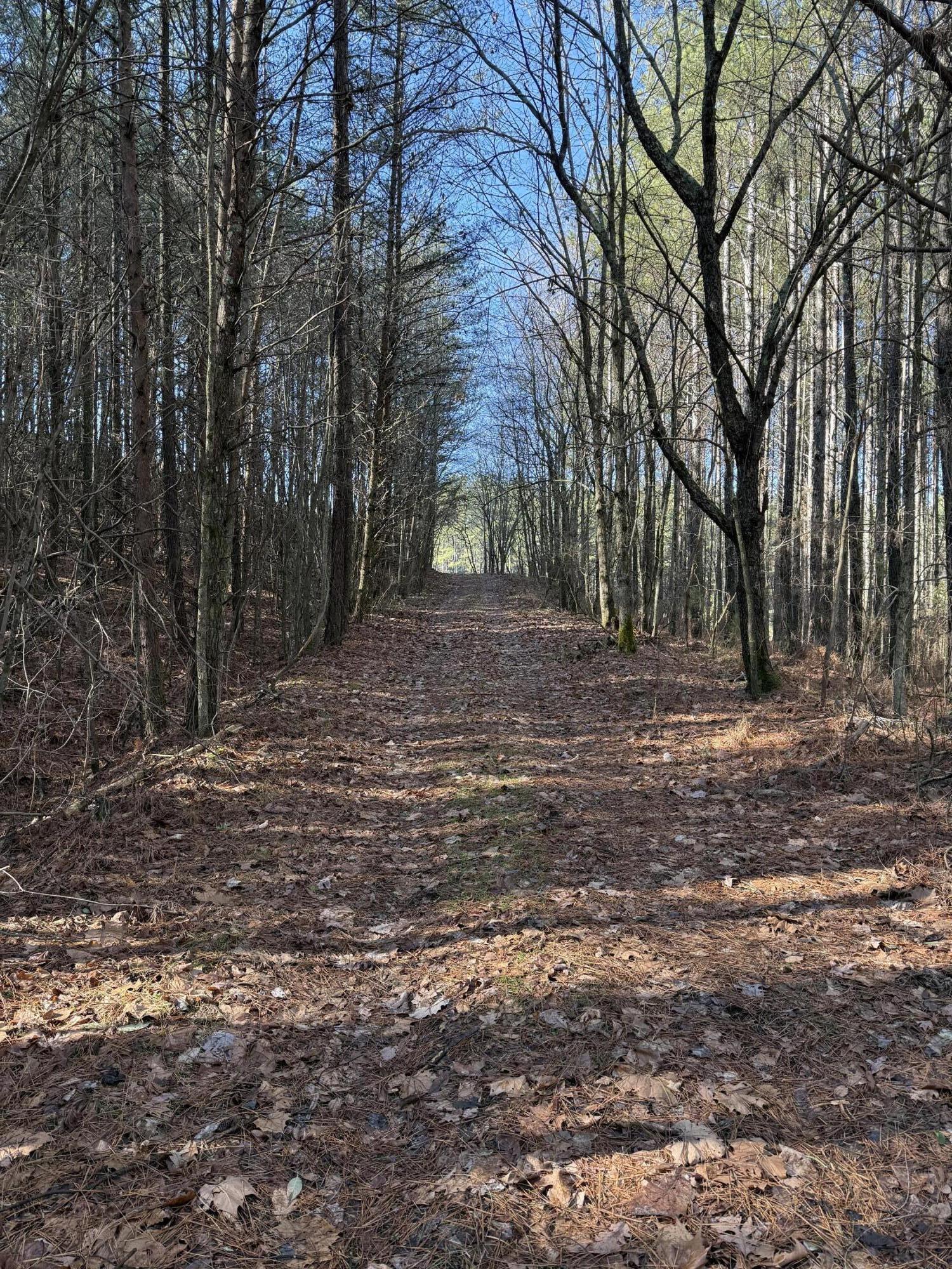 Lebbanon Church Valley Road, Cleveland, Tennessee image 8