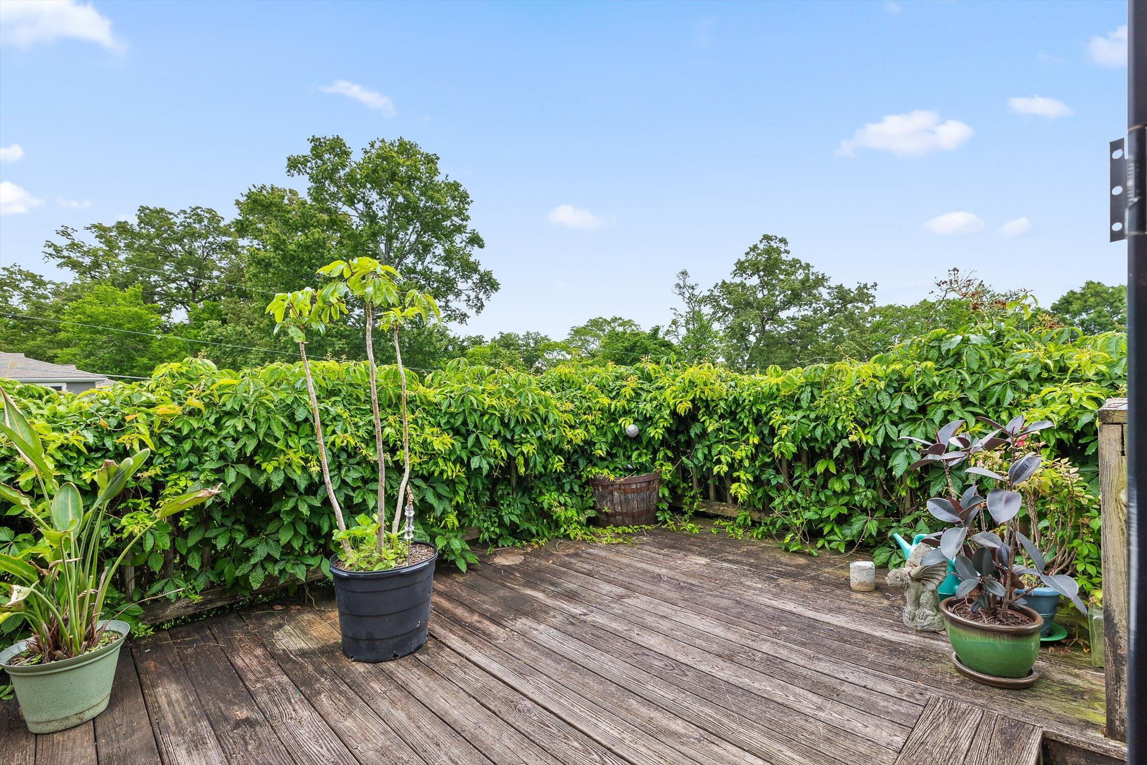 3944 Azalean Drive, Chattanooga, Tennessee image 24