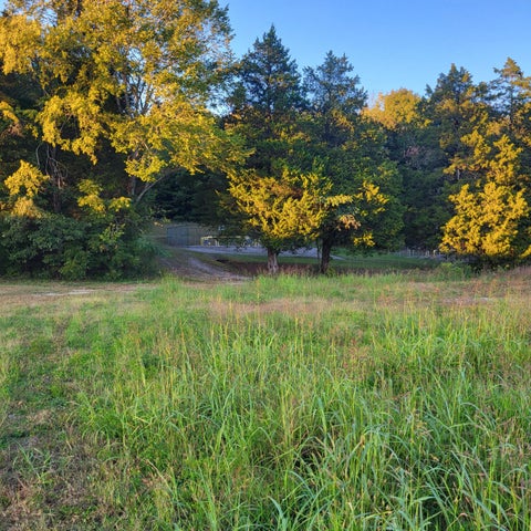 Photo of 800 David W Lillard Memorial Highway, Etowah, TN 37331 (MLS # 1544682)