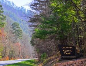 450 Hicks Branch Road, Reliance, Tennessee image 21