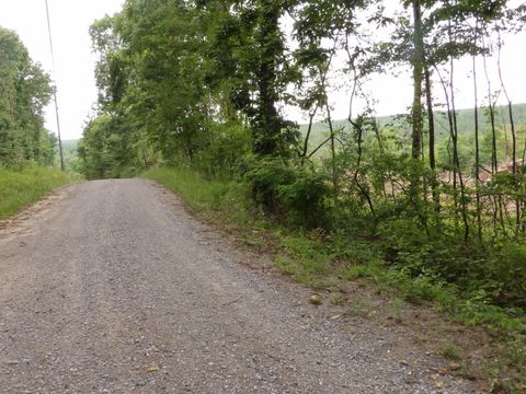 Vacant Land For Sale - LOT 11 Hughes Road<br/> Pikeville, TN 37332