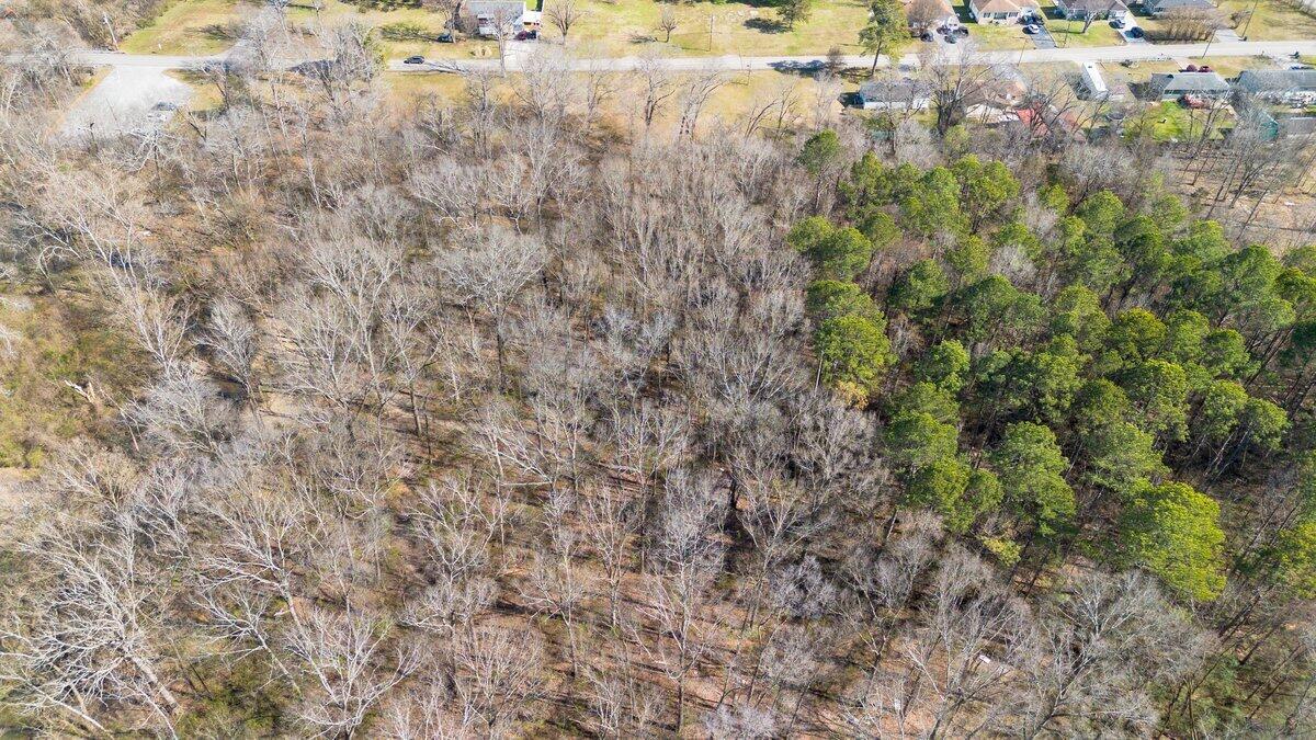 Springvale Road, East Ridge, Tennessee image 11