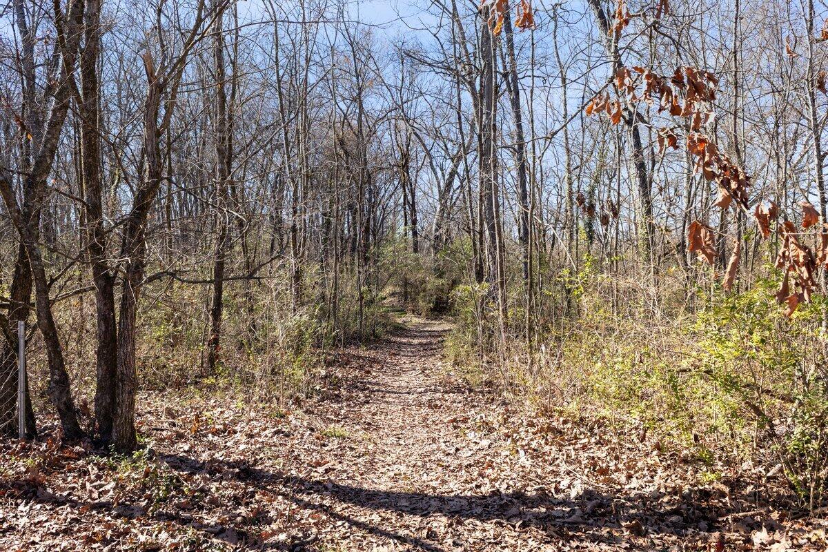 Springvale Road, East Ridge, Tennessee image 9