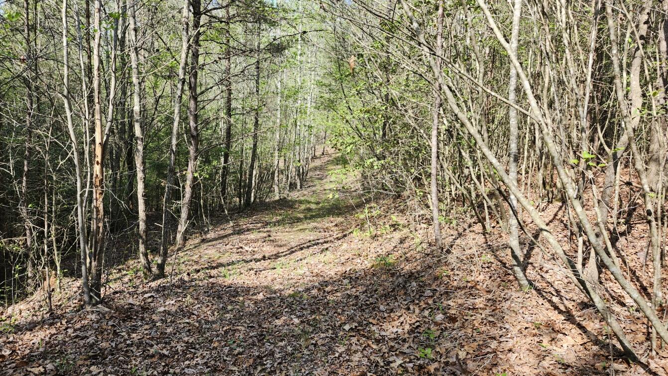 Old Holy Water Road #TRACT 1, Tracy City, Tennessee image 5