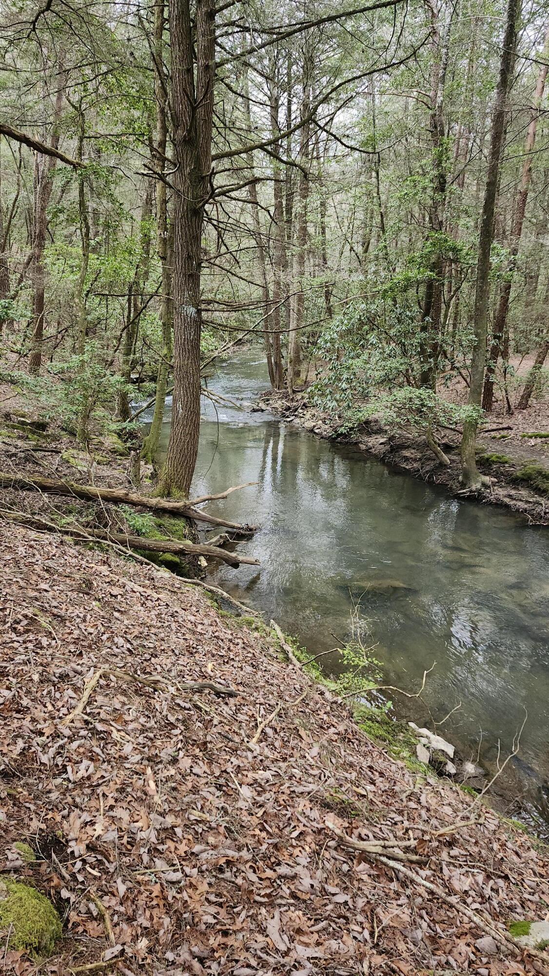 Old Holy Water Road #TRACT 1, Tracy City, Tennessee image 2