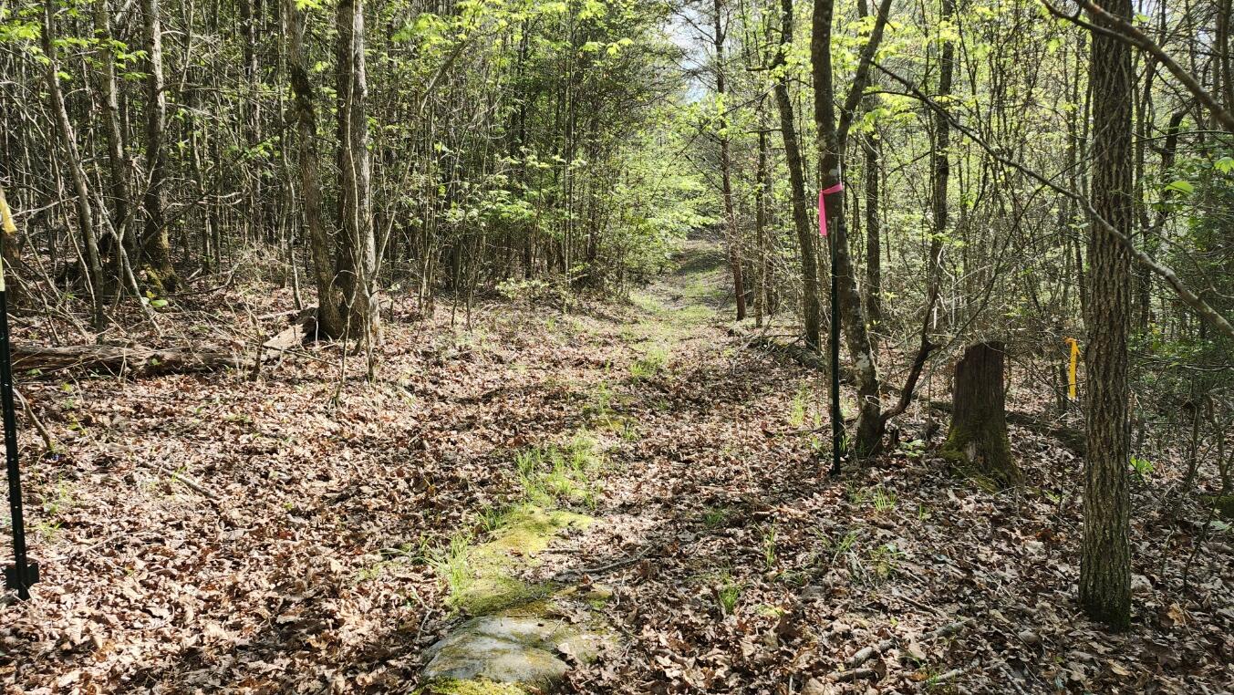 Old Holy Water Road #TRACT 1, Tracy City, Tennessee image 10