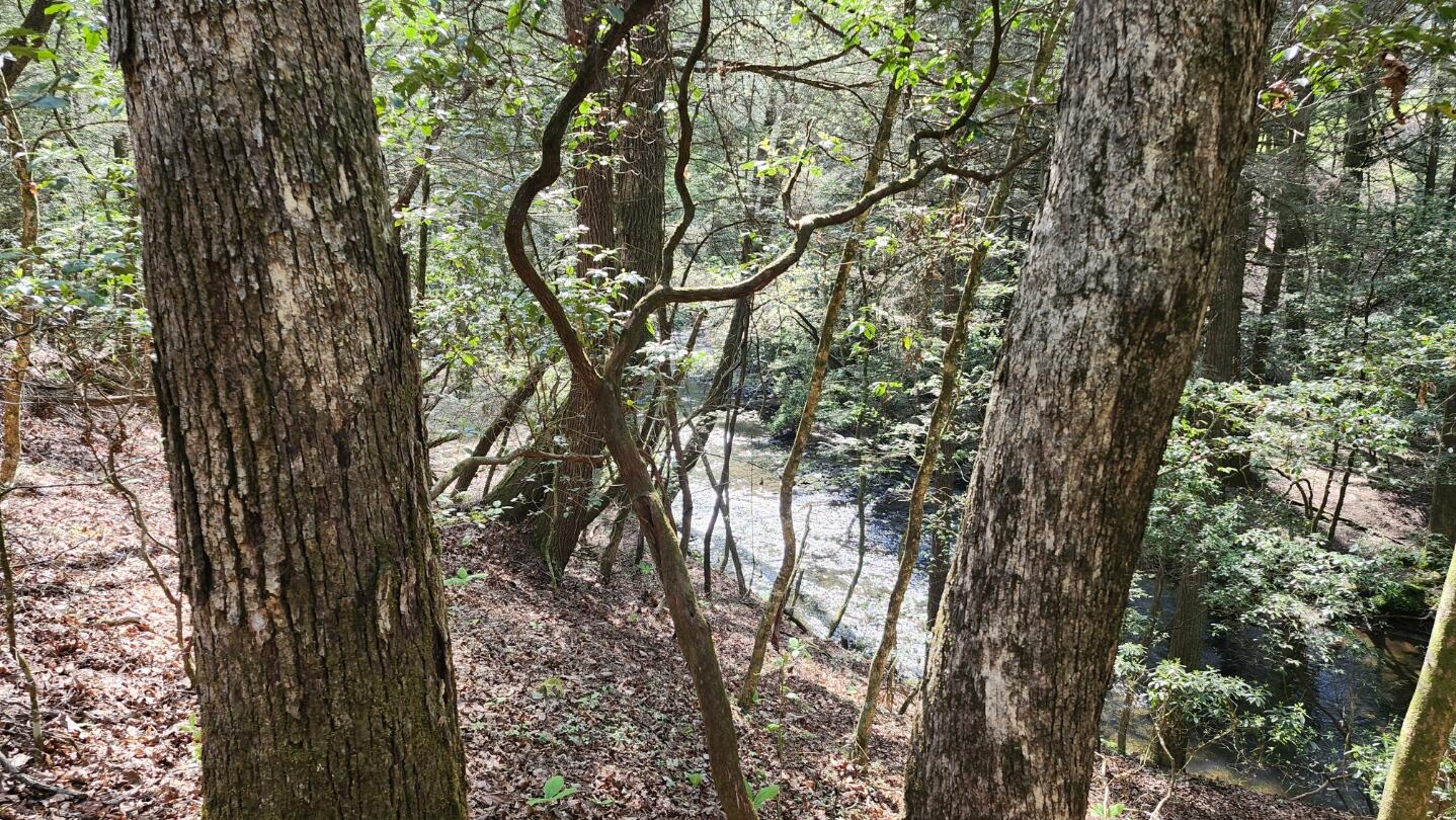 Old Holy Water Road #TRACT 1, Tracy City, Tennessee image 8