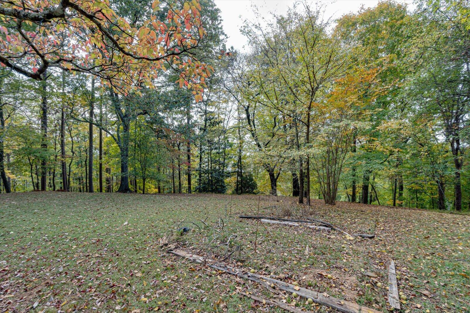 185 Riverview Drive, South Pittsburg, Tennessee image 46