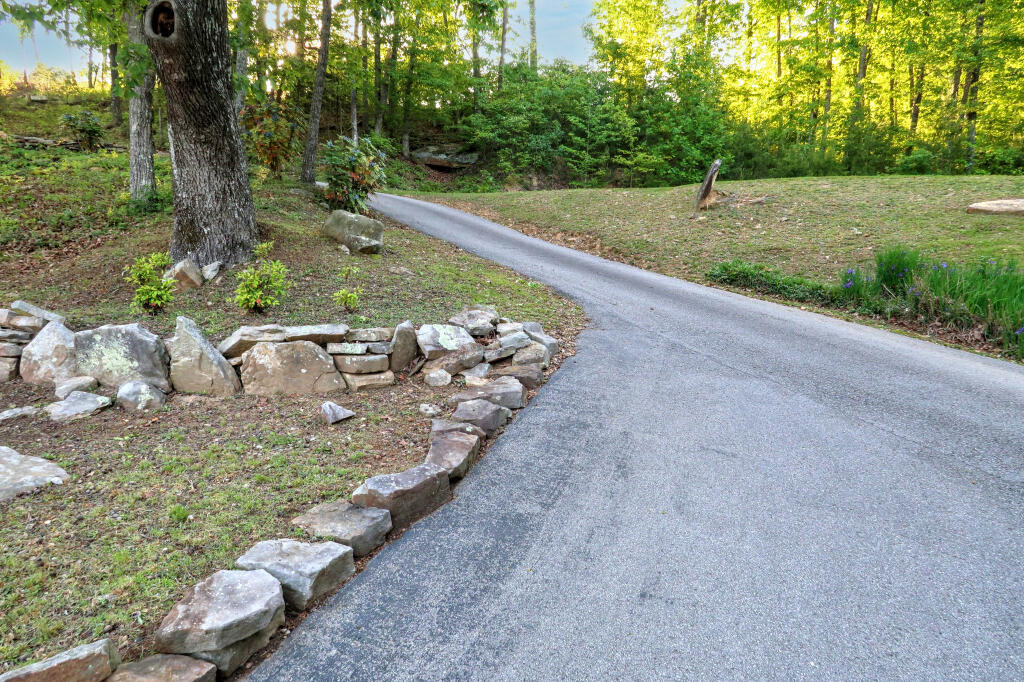 12128 Laurbrow Road, Soddy Daisy, Tennessee image 35