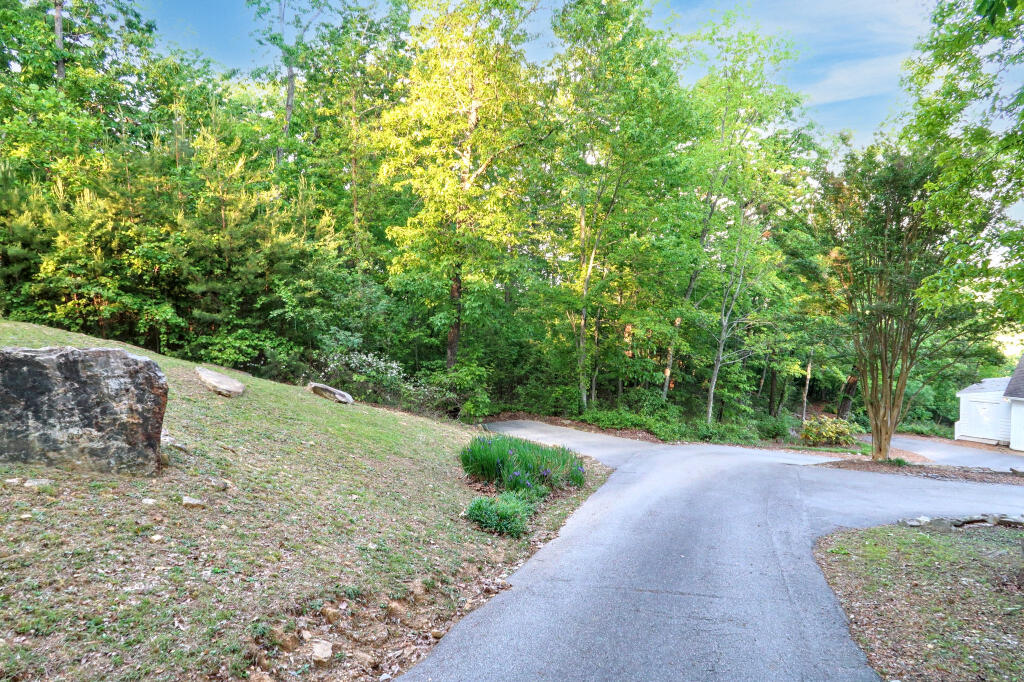 12128 Laurbrow Road, Soddy Daisy, Tennessee image 34