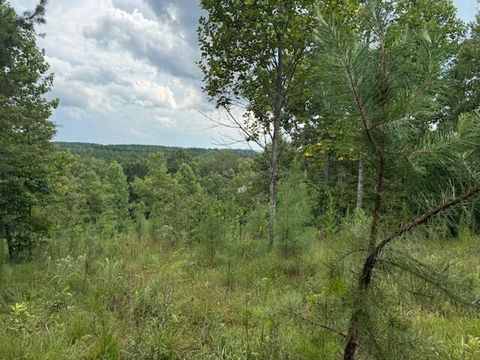 Photo of 0 South Pittsburg Mountain Road, South Pittsburg, TN 37380 (MLS # 1517945)
