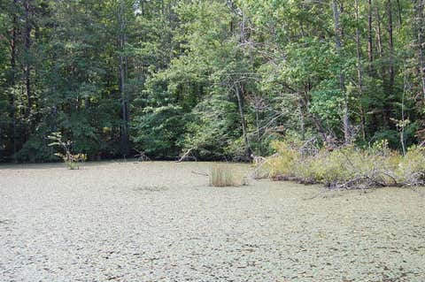 Vacant Land For Sale - 57 Hugh Allison Road<br/> Bledsoe County, Pikeville, TN 37367