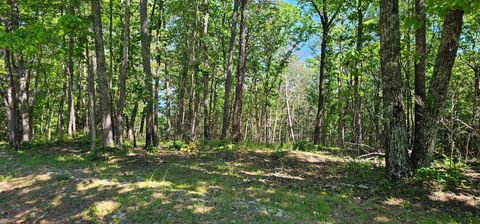 Vacant Land For Sale - Bluffview Dr<br/> Dunlap, TN 37327