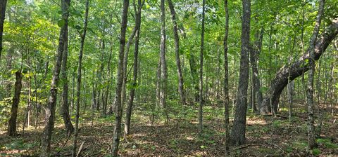 Photo of 266 Cove Hill Road, Pikeville, TN 37367 (MLS # 1397340)