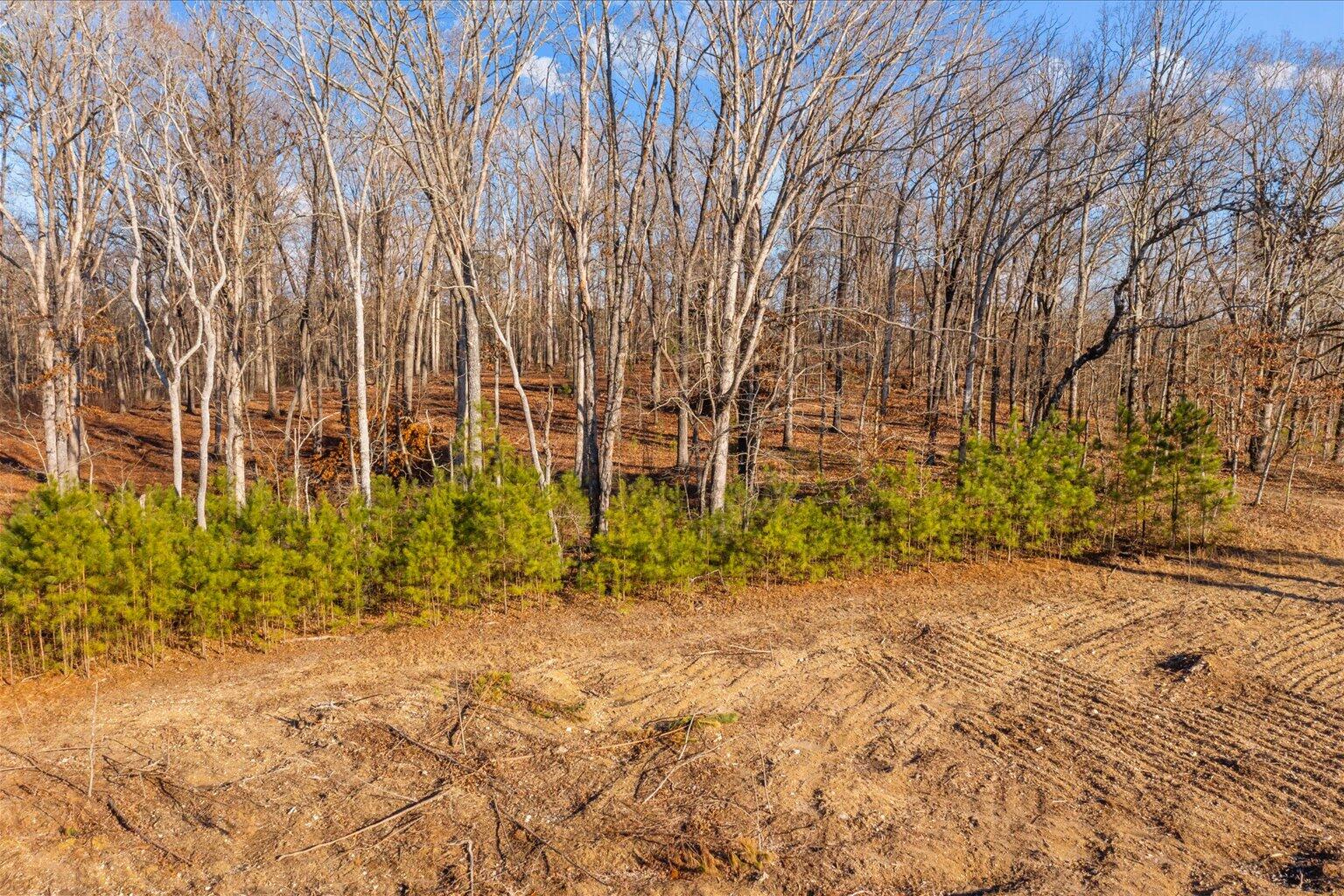 16.986 Ac Tract 5, Highway 2, Dalton, Georgia image 5