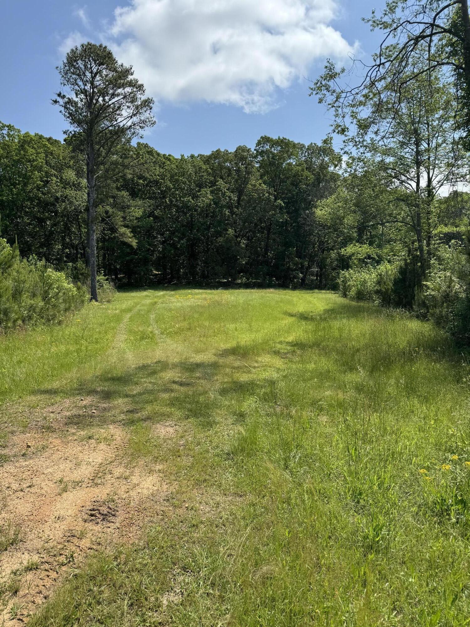 16.986 Ac Tract 5, Highway 2, Dalton, Georgia image 21