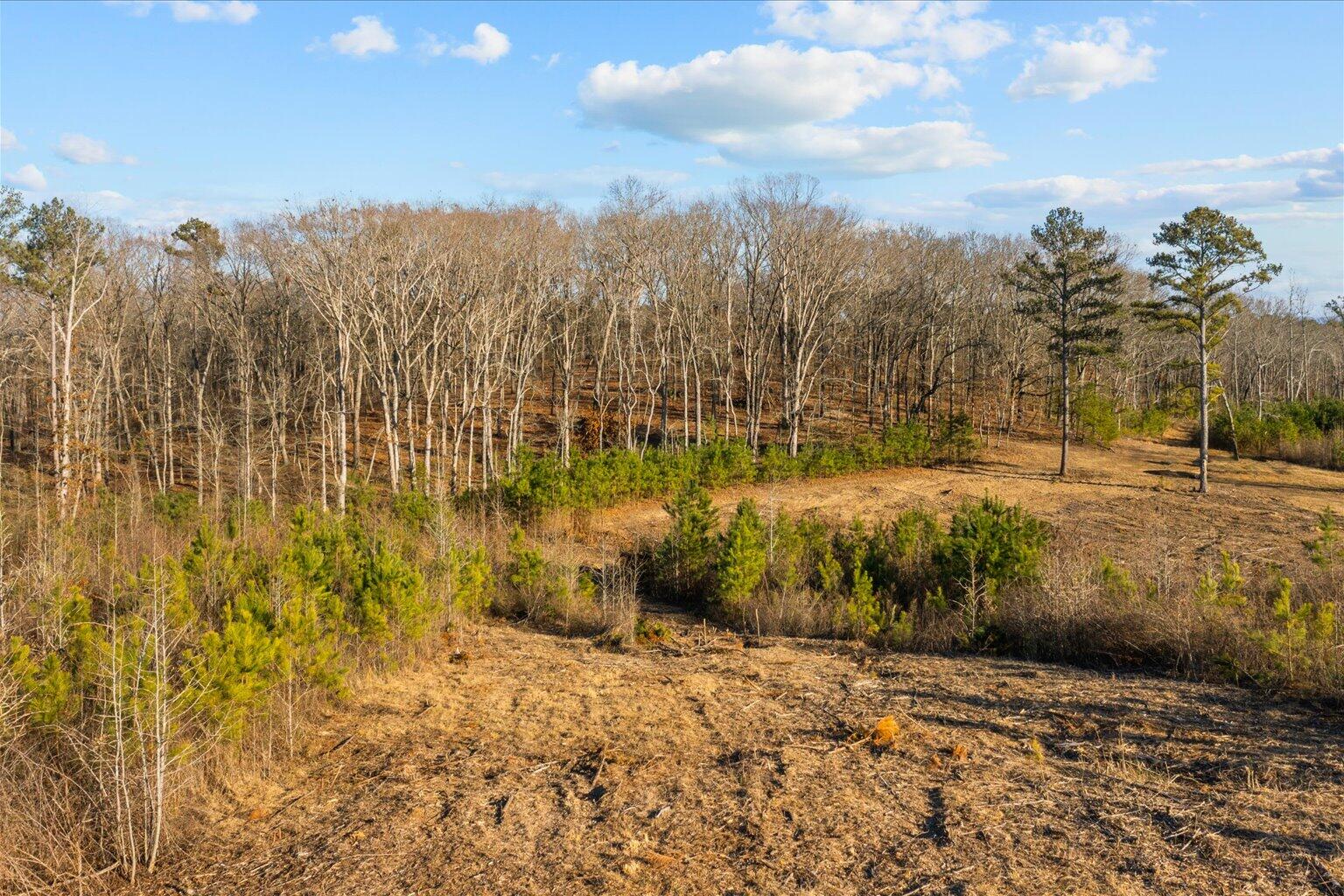 16.986 Ac Tract 5, Highway 2, Dalton, Georgia image 16