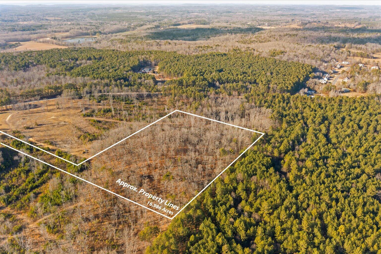 16.986 Ac Tract 5, Highway 2, Dalton, Georgia image 1