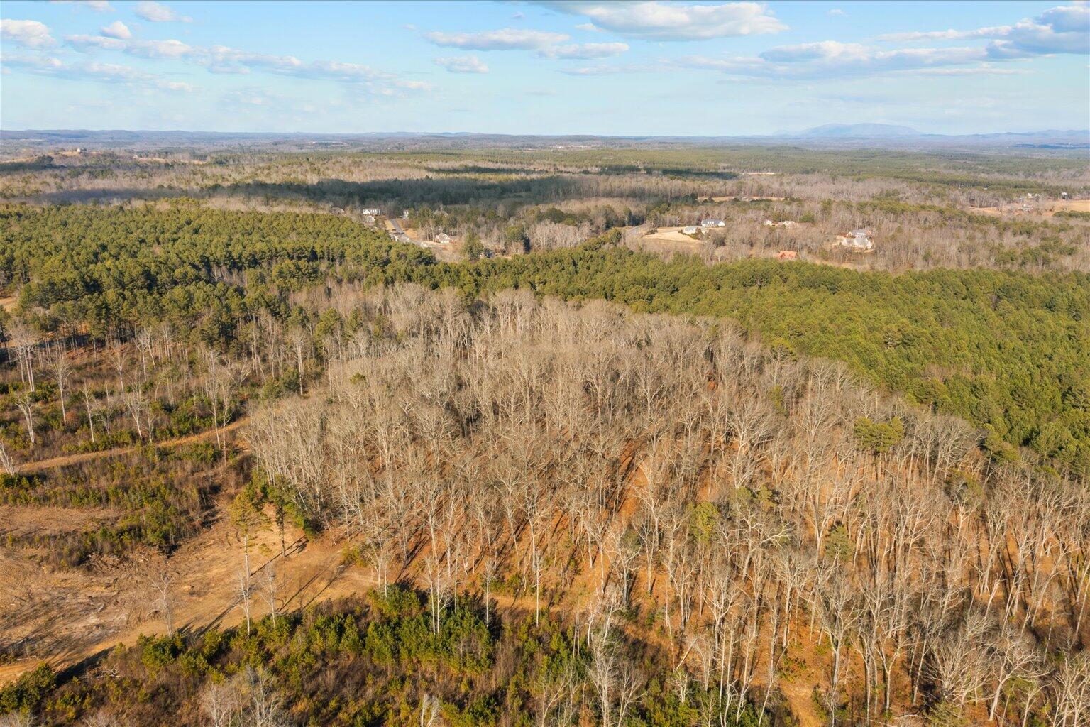 16.986 Ac Tract 5, Highway 2, Dalton, Georgia image 7