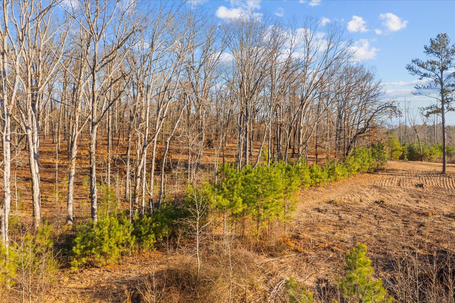 16.986 Ac Tract 5, Highway 2, Dalton, Georgia image 11