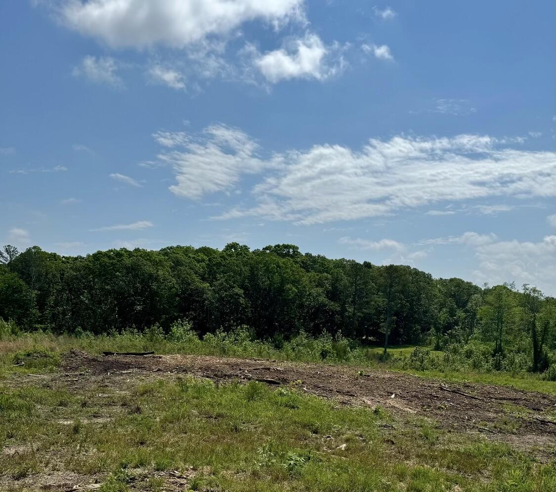 16.986 Ac Tract 5, Highway 2, Dalton, Georgia image 24