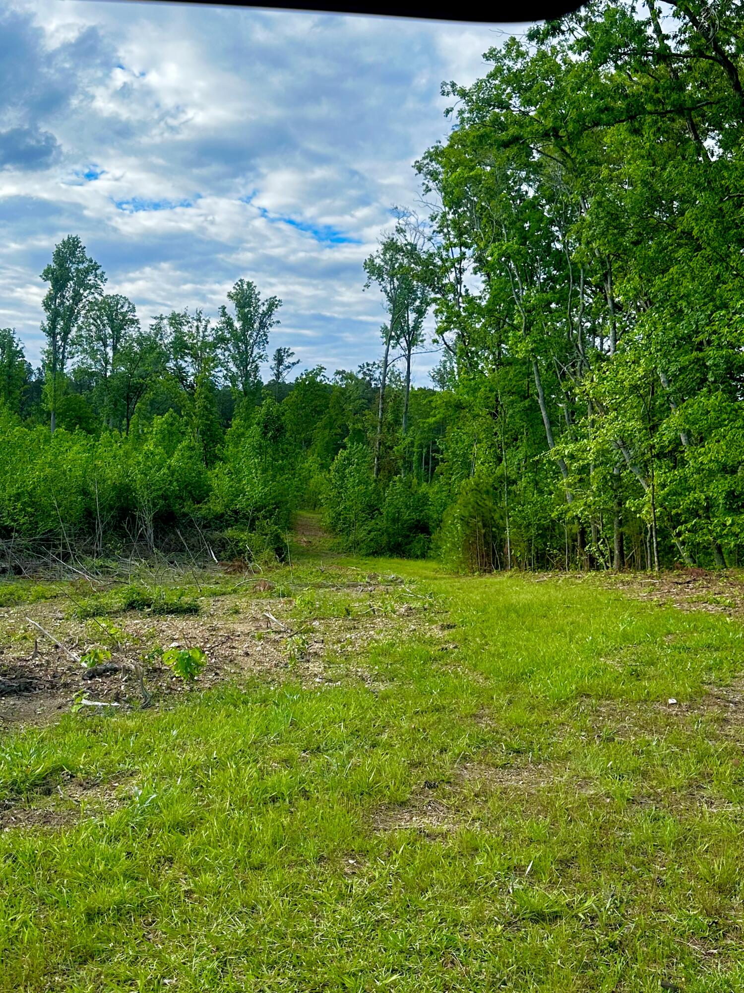 Highway 2, Tract 5, Dalton, Georgia image 20