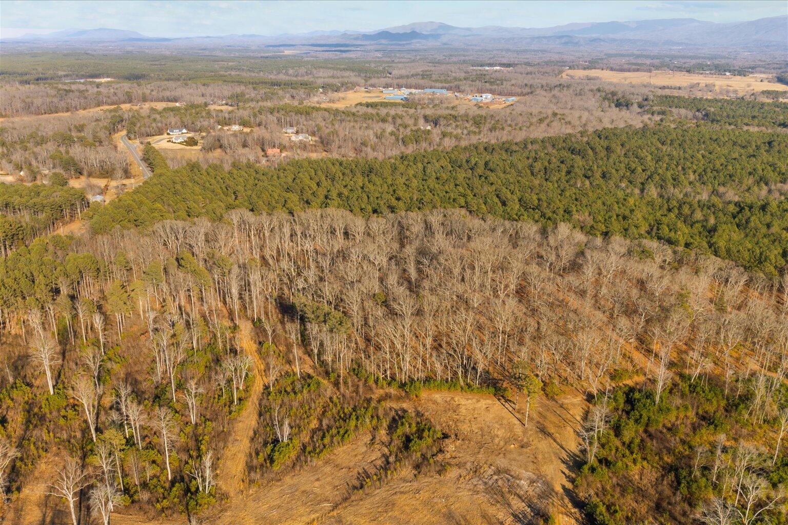 16.986 Ac Tract 5, Highway 2, Dalton, Georgia image 9