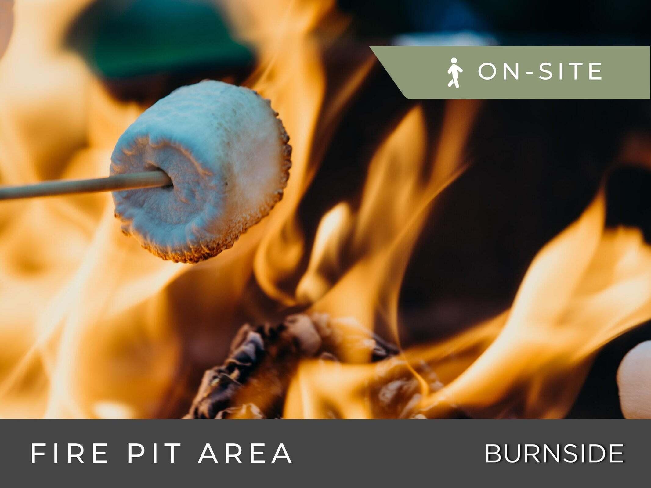 845 Burnside Place #7, Chattanooga, Tennessee image 22