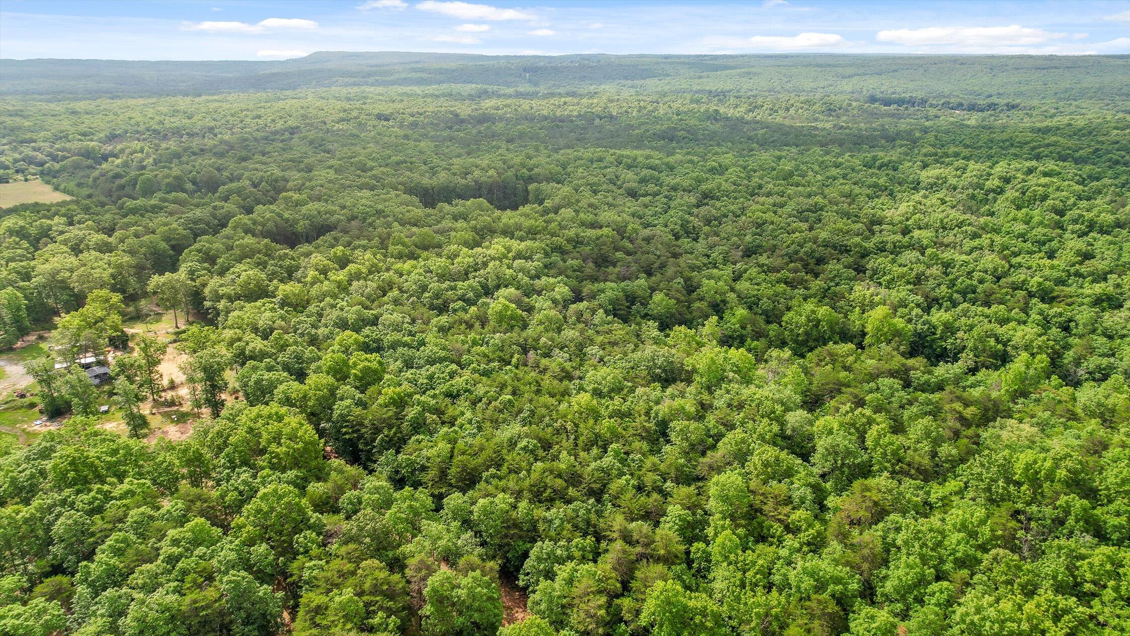 Menlo, Georgia 30731, United States, ,Land,Active,148614