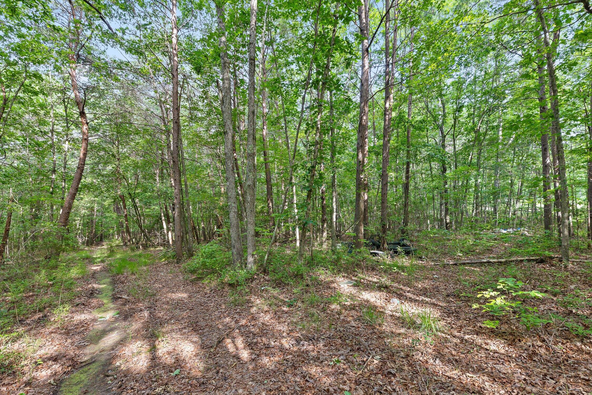 Menlo, Georgia 30731, United States, ,Land,Active,148614