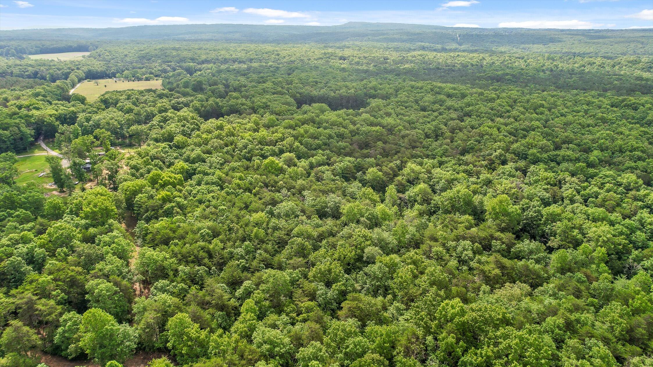 Menlo, Georgia 30731, United States, ,Land,Active,148614