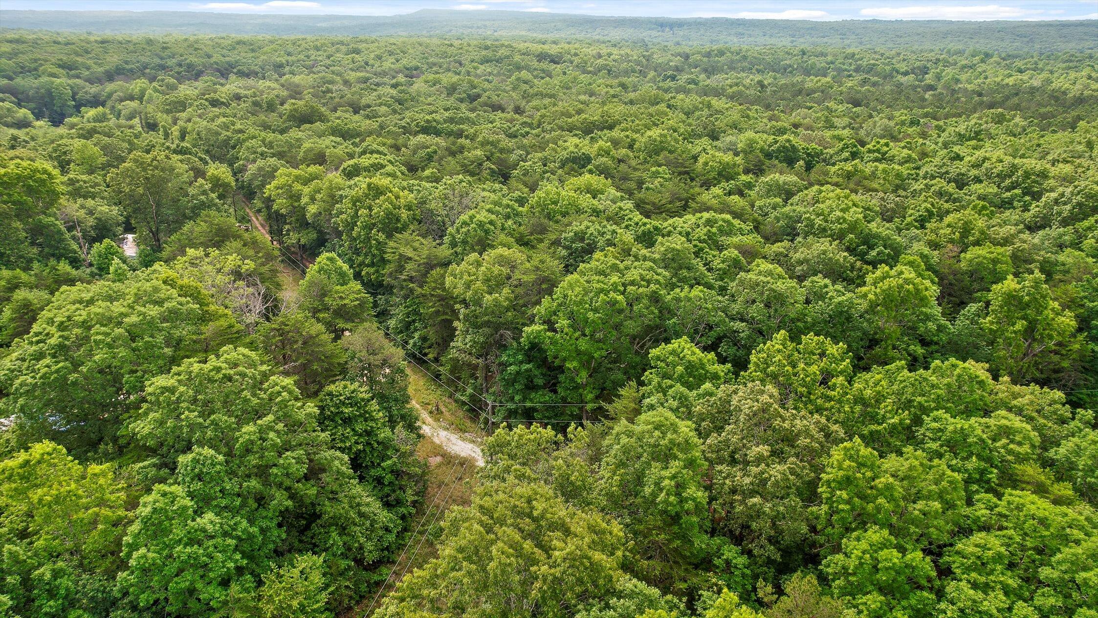 Menlo, Georgia 30731, United States, ,Land,Active,148614