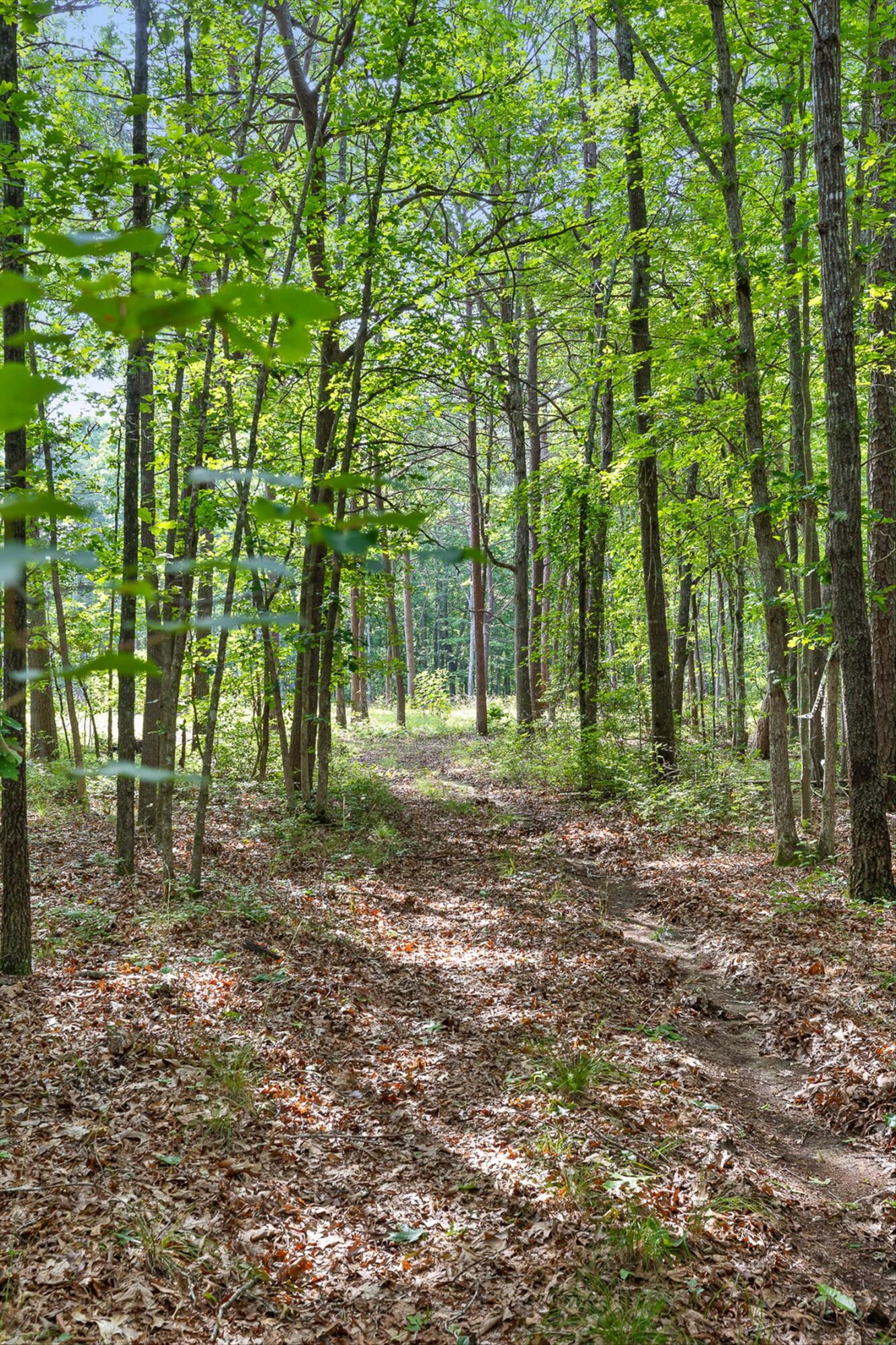 Menlo, Georgia 30731, United States, ,Land,Active,148614