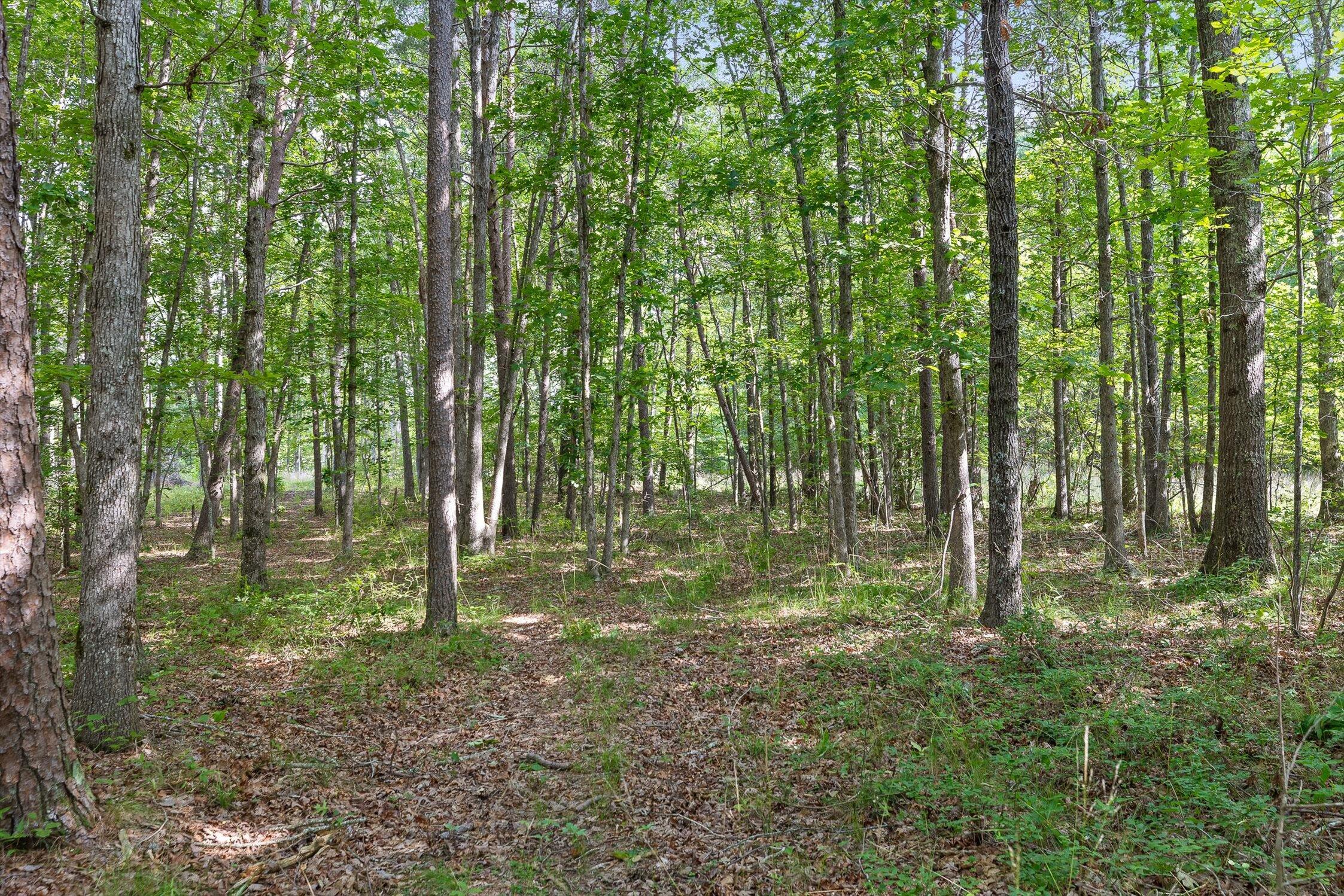 Menlo, Georgia 30731, United States, ,Land,Active,148614