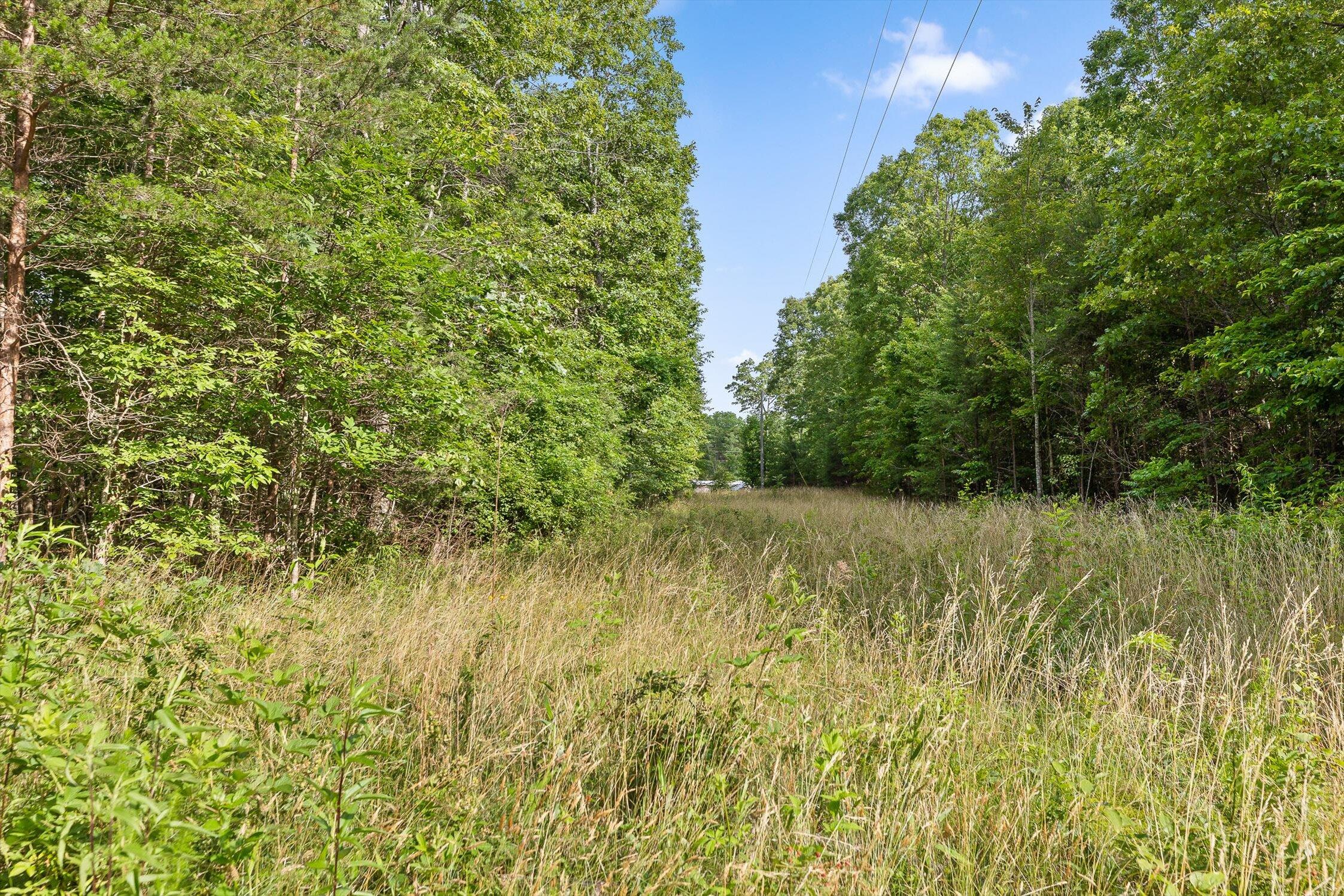 Menlo, Georgia 30731, United States, ,Land,Active,148614