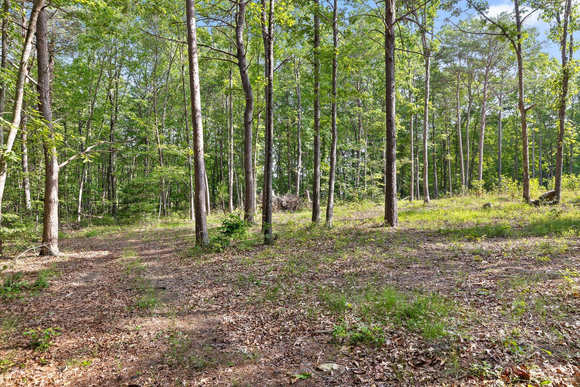 Menlo, Georgia 30731, United States, ,Land,Active,148614