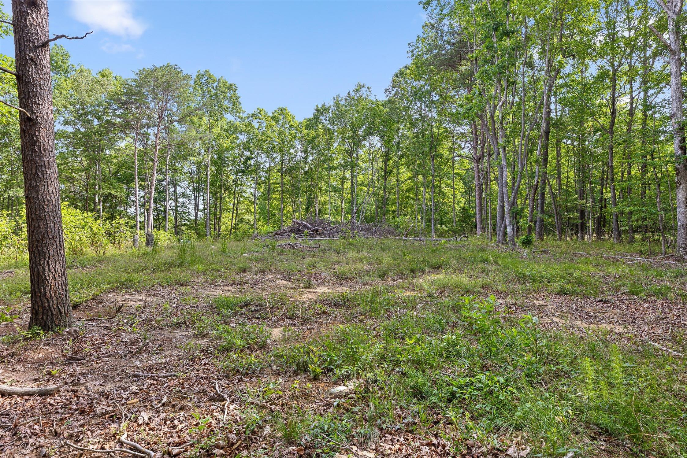 Menlo, Georgia 30731, United States, ,Land,Active,148614