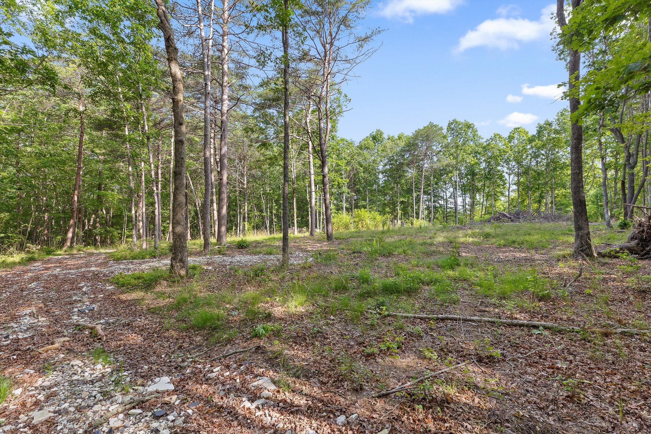 Menlo, Georgia 30731, United States, ,Land,Active,148614