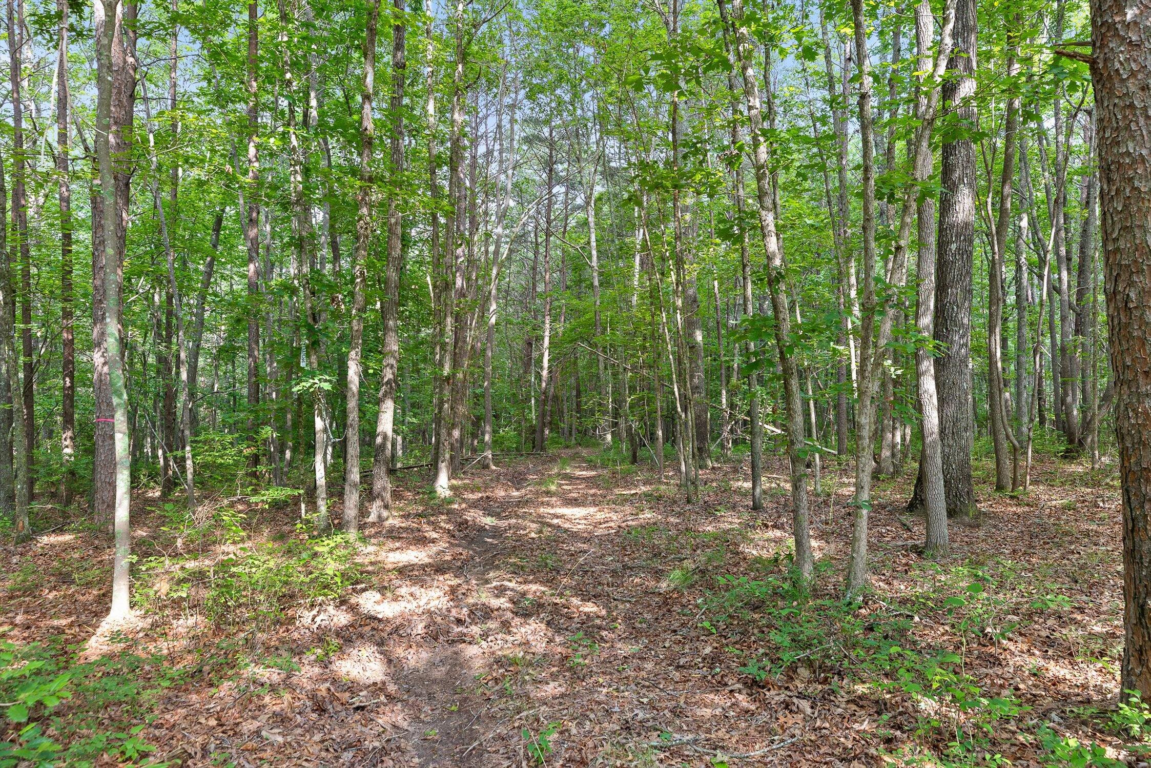 Menlo, Georgia 30731, United States, ,Land,Active,148614