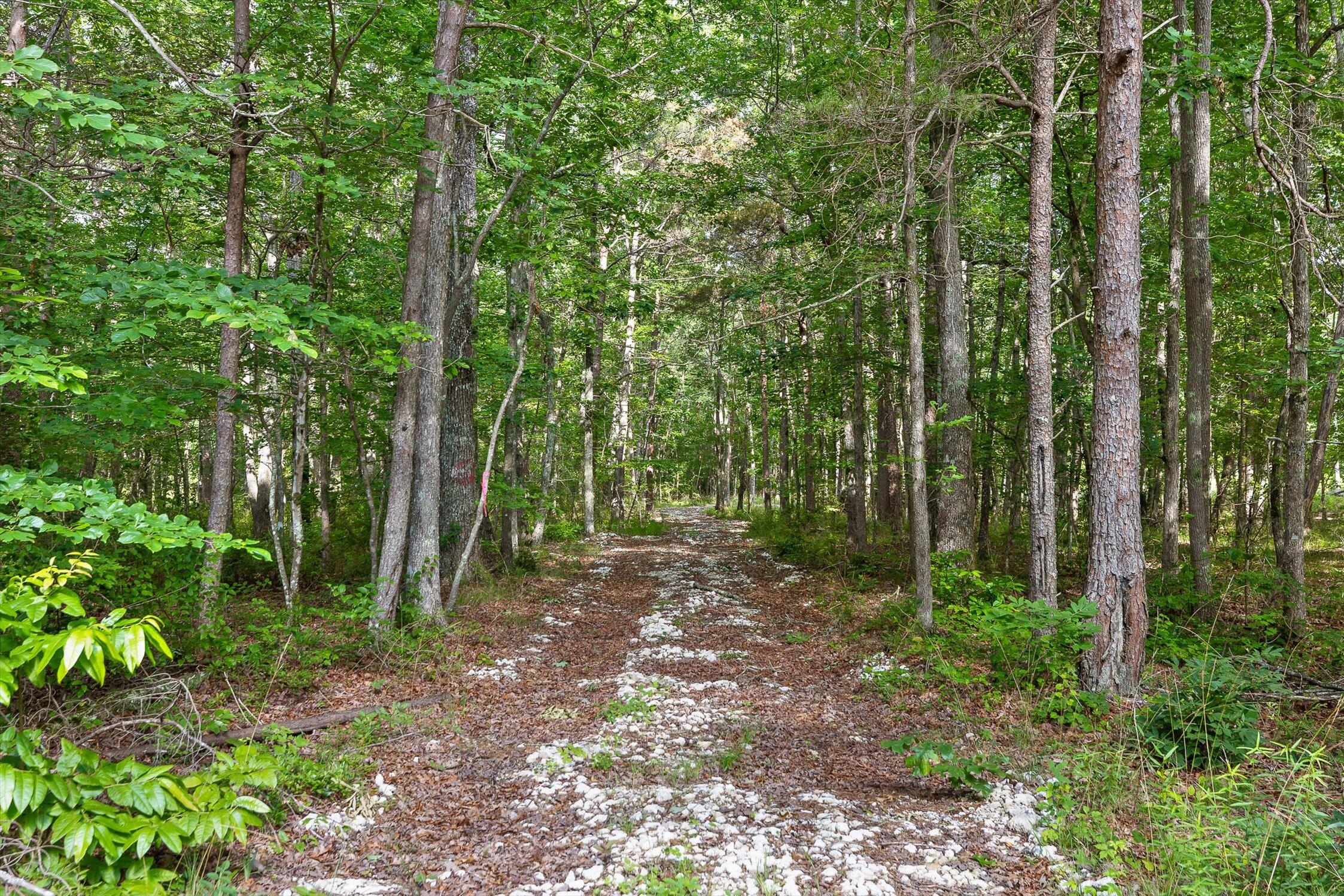 Menlo, Georgia 30731, United States, ,Land,Active,148614