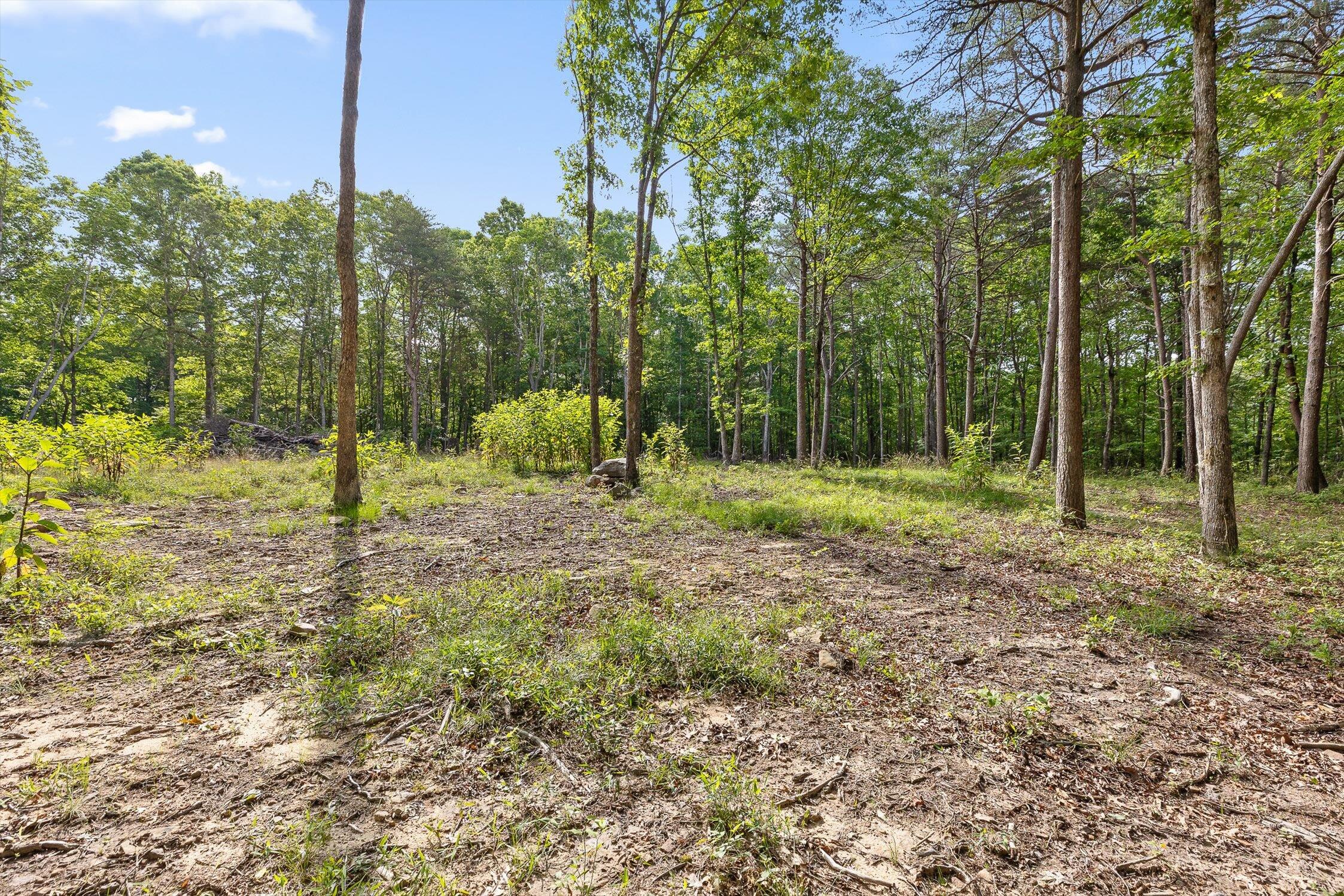 Menlo, Georgia 30731, United States, ,Land,Active,148614