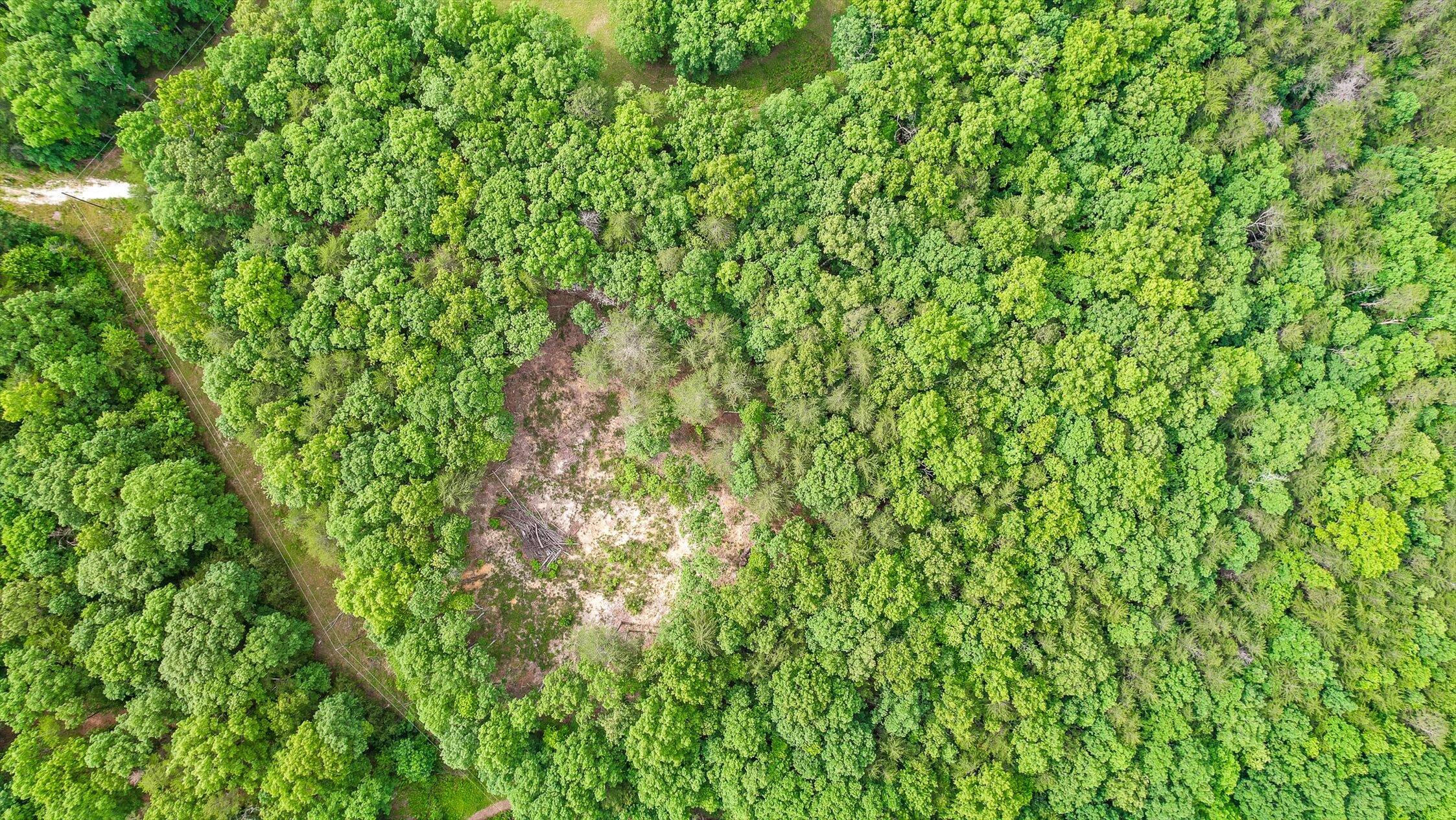 Menlo, Georgia 30731, United States, ,Land,Active,148614